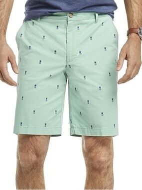 Izod Men’s Mint Pineapple-Print Flat Front Shorts, Shorts, Size 34